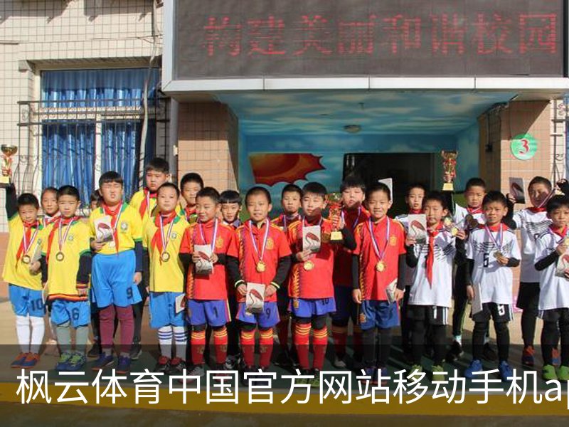 枫云体育中国官方网站移动手机app官方入口｜体育教育